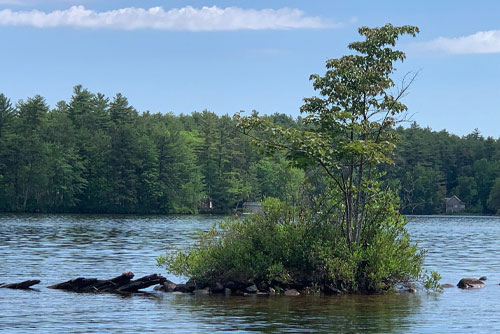Balch Lake