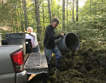 Milfoil Disposal