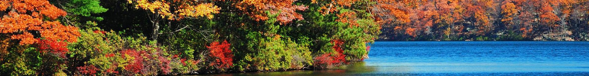 Annual Milfoil Harvest Results